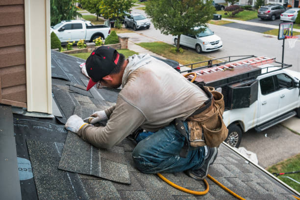 Professional Gutter Repair And Installation technician working in Dows, IA